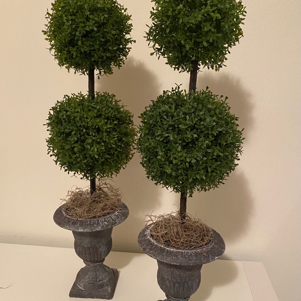 Decorative Double Topiary!